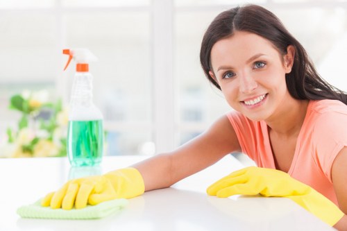 Professional domestic cleaning service for Acton homes