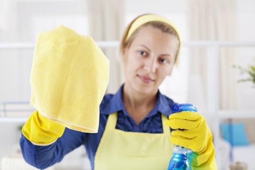 Deep cleaning services for Acton homes and flats