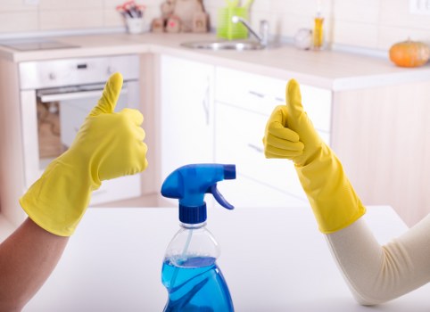 Domestic cleaning support for flats and houses in Acton