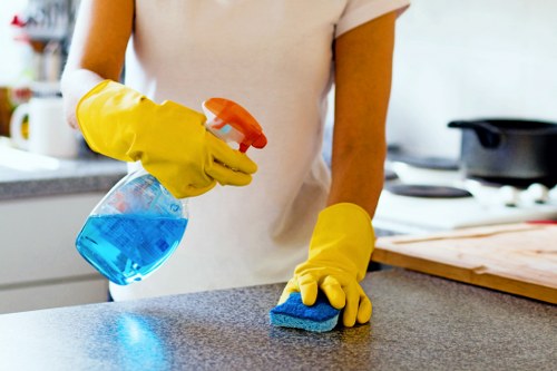 Professional hard floor cleaning for Acton homes and commercial spaces