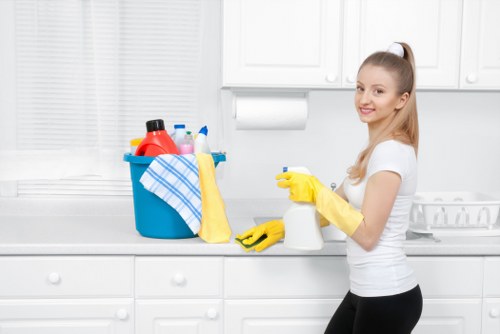Thorough oven door and glass cleaning in a West London property
