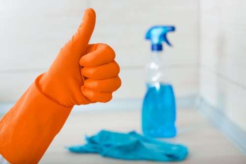 Domestic cleaning tasks in an Acton kitchen and bathroom