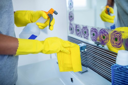Professional carpet cleaning with safety and insurance focus