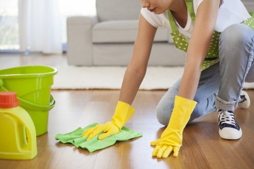 Detailed oven and kitchen appliance cleaning for a tenancy handover