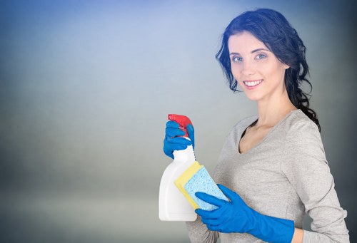 Professional upholstery cleaning equipment in a West London property