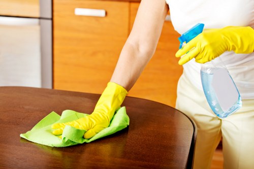 Preparation and final details for a one off cleaning visit in Acton